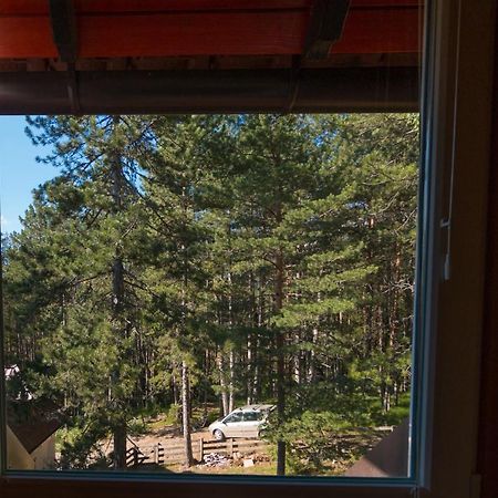 Zavicaj Apartmani3 Zaovine Exteriér fotografie